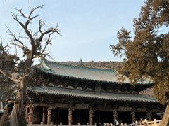 -王明古法砂锅居(开化寺店)