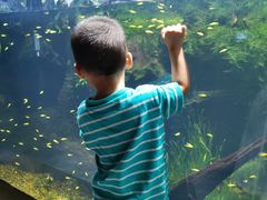 -华夏文旅海洋公园