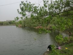 -九里河湿地公园