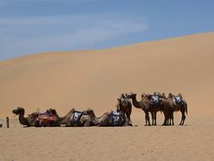 -银肯塔拉沙漠生态旅游景区