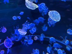 -南昌融创海世界