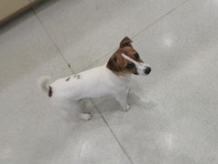 -宠颐生宠物医院·心肾内科·猫专科诊疗中心宠巢店