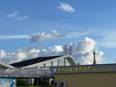 -德宏芒市国际机场