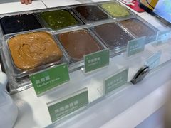 -Salud撒露欧洲冻酸奶(蓝色港湾店)