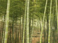 android_upload_pic-五祖寺