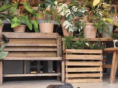 -自由生长植物工作室(深港花卉中心店)