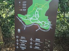 -上海佘山国家森林公园天马山园