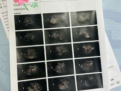 -美联众合动物医院·24h转诊中心