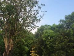 -东莞植物园