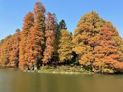 -中国科学院华南植物园