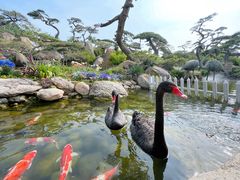 -罗红摄影艺术馆