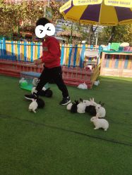 -萌宠亲子动物乐园(槐房万达店)