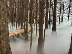 -东湖落雁景区