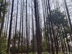 -南湖湿地公园