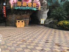 -海合安成都极地海洋公园