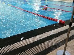 -飞鲨游泳培训学校