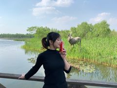 -溱湖国家湿地公园