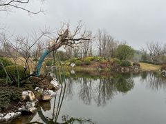 -雅达·阳羡溪山小镇中心