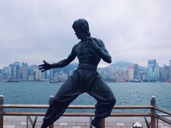-星光大道