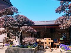 -天怡·鱼工厂(临江店)