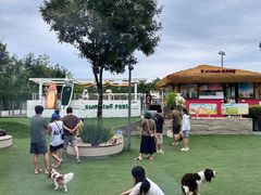 -爪吧宠物乐园 (温榆河示范区店)