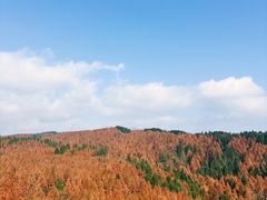 -山王坪喀斯特国家生态公园