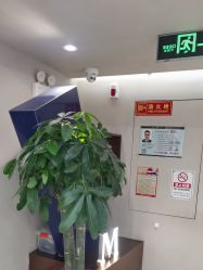 -木北造型
