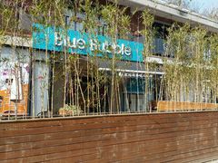 -BlueBubble蓝泡泡婴幼儿游泳会所(合川路店)