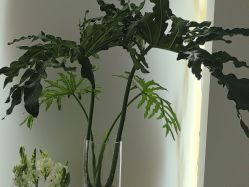 点击看大图 -木子美学