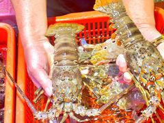 -巽寮印象美食部落餐厅·海鲜·地方特色菜(惠州体验店)