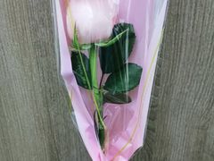 -西安大雁塔科技大学地铁站亚朵酒店