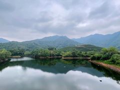 -龙坞茶村
