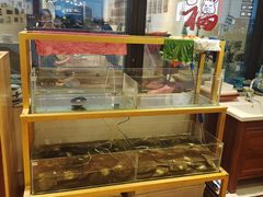 -十八字金银饰·拼豆·开蚌手工体验团建(君太百货店)