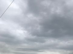 -武陵山森林公园
