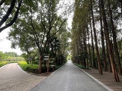 -同里国家湿地公园