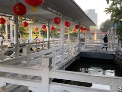 -荔湾湖公园