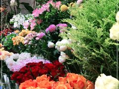 -花草间花行(法华镇路店)