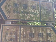 iphone_upload_pic-南丫岛
