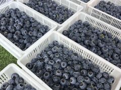 -南坛综合农贸市场