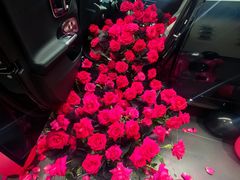 -杭州中升之星奔驰4S店(滨江店)