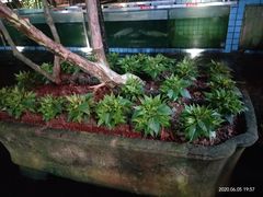 -天怡·鱼工厂(梅溪湖店)