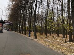 -莫斯科大学