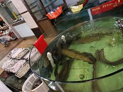 -老钱饭店(后渚港店)