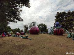 -琅岐红光湖公园
