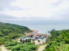-广东惠东海龟国家级自然保护区