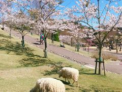-神户市立六甲山牧场