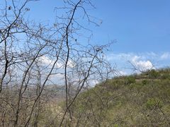 -石家庄市植物园