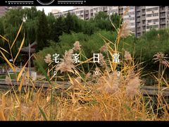 -元大都城垣遗址公园