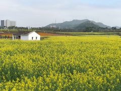 -光明小镇欢乐田园