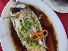 -先鲜鲫鱼粥